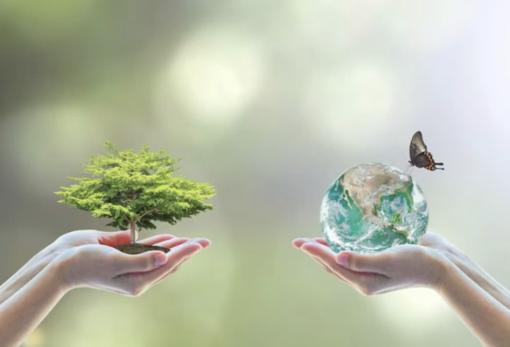A Villa Cristina la biodiversità diventa esperienza: bruchi e farfalle per un nuovo percorso di cura
