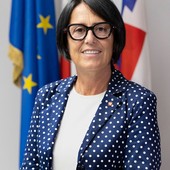 West Nile, Raiteri (FdI): &quot;La lotta alle zanzare è prevenzione sanitaria&quot;