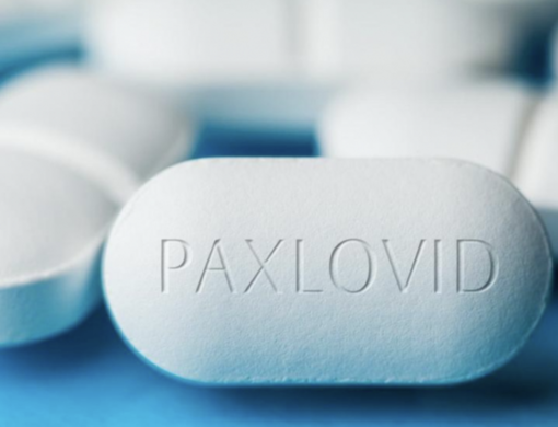 Covid, il Piemonte tra le prime regioni a rendere disponibile in farmacia il Paxlovid