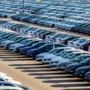 Novara, cresce il mercato dell'auto a settembre: Panda e Suzuki Swift tra le più vendute