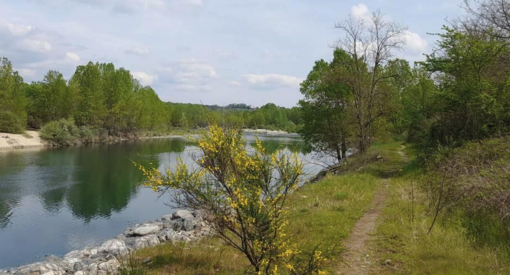 Riapre il percorso ciclo-pedonale Oleggio–Sab-Ghia Riapre il percorso ciclo-pedonale Oleggio–Sab-Ghia