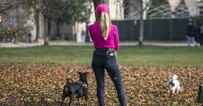 Verde urbano nei piccoli Comuni, in Commissione la legge per dare stabilità al progetto "Green up"