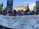 Foto Faceook “Novara per la Palestina”