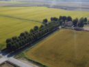Agricoltura e cambiamenti climatici: a Novara due convegni per il futuro del riso Agricoltura e cambiamenti climatici: a Novara due convegni per il futuro del riso