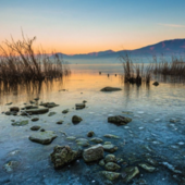 “Natura in mostra”: al Mulino Vecchio la seconda parte del progetto fotografico di Armando Bottelli