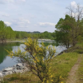 Riapre il percorso ciclo-pedonale Oleggio–Sab-Ghia Riapre il percorso ciclo-pedonale Oleggio–Sab-Ghia