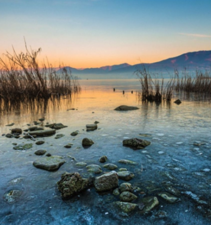 “Natura in mostra”: al Mulino Vecchio la seconda parte del progetto fotografico di Armando Bottelli