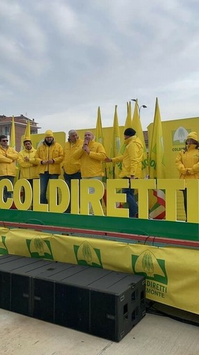 Coldiretti contro Bruxelles: “Tagli alla Pac, agricoltura tradita”