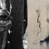 “Pareidolia” a Villa Picchetta: arte e natura in mostra tra volti e forme immaginate