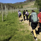 Turismo lento, cresce il Cammino delle colline novaresi