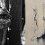 “Pareidolia” a Villa Picchetta: arte e natura in mostra tra volti e forme immaginate