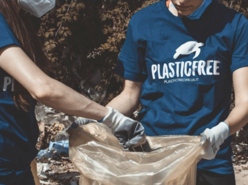 Plastic Free e Parco Ticino insieme a Trecate per una giornata di pulizia ambientale Plastic Free e Parco Ticino insieme a Trecate per una giornata di pulizia ambientale
