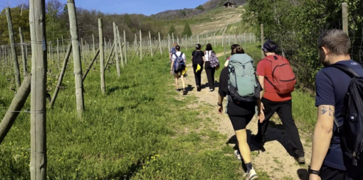 Turismo lento, cresce il Cammino delle colline novaresi Turismo lento, cresce il Cammino delle colline novaresi