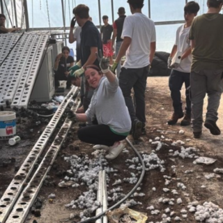 Vandali distruggono le serre dell’istituto agrario di Lesa