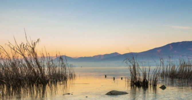 A Villa Picchetta si apre “Proteggiamo la natura con la cultura”: mostre tra ambiente e creatività A Villa Picchetta si apre “Proteggiamo la natura con la cultura”: mostre tra ambiente e creatività