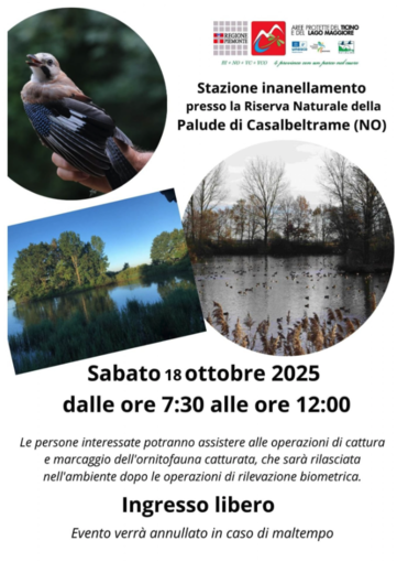 Alla scoperta dell’avifauna alla Palude di Casalbeltrame: giornata aperta alla stazione di inanellamento