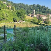 All’orto botanico di Galliate il nuovo appuntamento de “La bellezza di ciò che manca” All’orto botanico di Galliate il nuovo appuntamento de “La bellezza di ciò che manca”