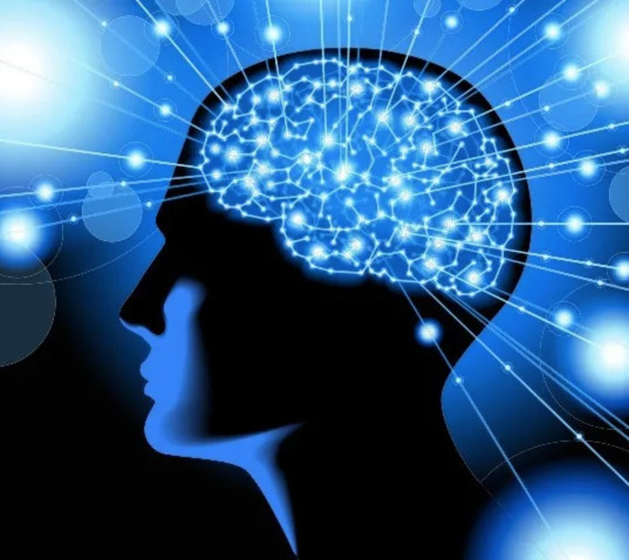Trecate accende la solidarietà: il palazzo municipale illuminato di blu per la Giornata Mondiale del Parkinson