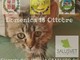 Domenica Microchip gratuiti per i gatti di Trecate Domenica Microchip gratuiti per i gatti di Trecate