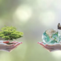 A Villa Cristina la biodiversità diventa esperienza: bruchi e farfalle per un nuovo percorso di cura