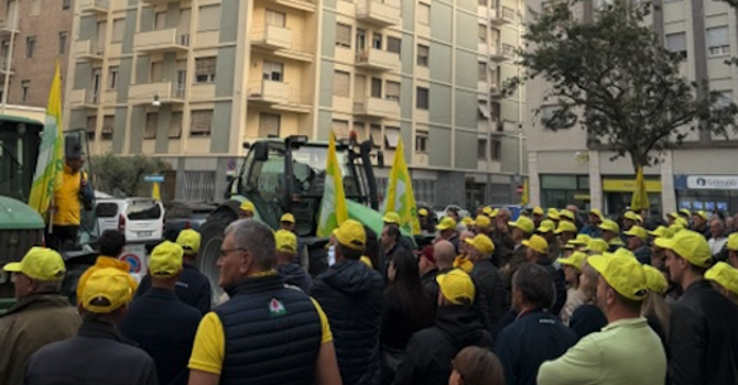 Crisi del riso, Coldiretti Novara-Vco scende in piazza contro il crollo dei prezzi Crisi del riso, Coldiretti Novara-Vco scende in piazza contro il crollo dei prezzi