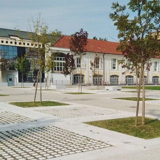 Upo, continuano gli incontri &quot;Biodiversità in circolo&quot;