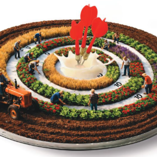 Agricoltura al centro, a Oleggio il confronto tra Distretto del Cibo e operatori del territorio