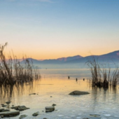 A Villa Picchetta si apre “Proteggiamo la natura con la cultura”: mostre tra ambiente e creatività A Villa Picchetta si apre “Proteggiamo la natura con la cultura”: mostre tra ambiente e creatività