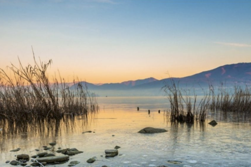 A Villa Picchetta si apre “Proteggiamo la natura con la cultura”: mostre tra ambiente e creatività