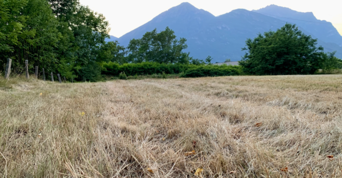 Acqua, Coldiretti Novara-Vco: “Basta con la retorica dell’emergenza”