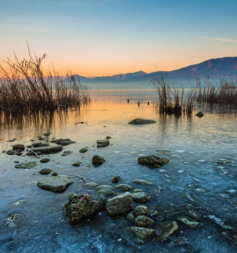 “Natura in mostra”: al Mulino Vecchio la seconda parte del progetto fotografico di Armando Bottelli