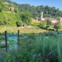 All’orto botanico di Galliate il nuovo appuntamento de “La bellezza di ciò che manca”
