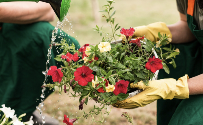 Import di fiori e piante in Italia raddoppiato in 5 anni: Coldiretti chiede reciprocità per tutelare i produttori nazionali