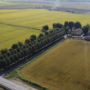Agricoltura e cambiamenti climatici: a Novara due convegni per il futuro del riso