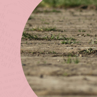 “Terra. I quattro elementi”: a Novara uno spettacolo sul confine tra Usa e Messico