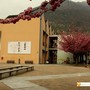 A Villadossola la giornata conclusiva del progetto Passi, tra sostenibilità e inclusione A Villadossola la giornata conclusiva del progetto Passi, tra sostenibilità e inclusione