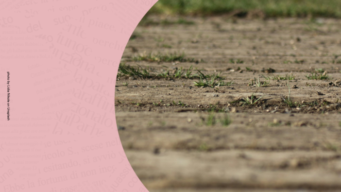 “Terra. I quattro elementi”: a Novara uno spettacolo sul confine tra Usa e Messico