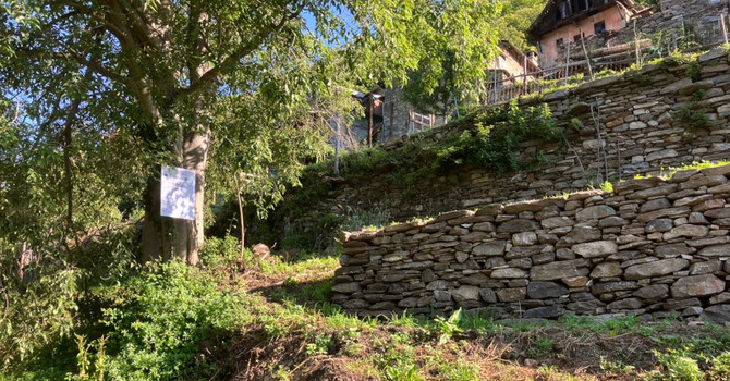 Quattro milioni per interventi di recupero dei terrazzamenti di montagna Quattro milioni per interventi di recupero dei terrazzamenti di montagna