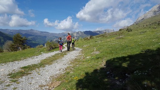 Turismo in Piemonte: nei primi sei mesi del 2025 presenze in crescita del 5,3%