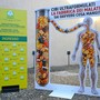 Cibi ultraformulati, Coldiretti Piemonte chiede all'Europa maggiori tutele per la salute Cibi ultraformulati, Coldiretti Piemonte chiede all'Europa maggiori tutele per la salute