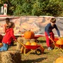 Magia d'autunno a Barengo: apre il "Villaggio delle Zucche" tra show K-Pop e sapori tipici
