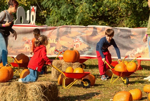 Magia d'autunno a Barengo: apre il "Villaggio delle Zucche" tra show K-Pop e sapori tipici
