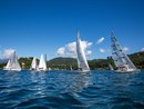 Vela Viva 15, record di partecipazione tra i laghi del Nord-Ovest Vela Viva 15, record di partecipazione tra i laghi del Nord-Ovest