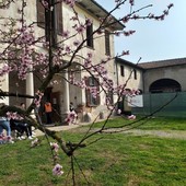 Giornate Fai di Primavera, apertura straordinaria di Villa Fortuna a Galliate