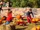 Magia d'autunno a Barengo: apre il "Villaggio delle Zucche" tra show K-Pop e sapori tipici