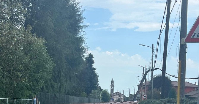 Violento nubifragio sul Novarese: vento, grandine e allagamenti, ingenti danni tra abitazioni, aziende agricole e viabilità