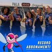 Igor Volley: nuovo record di abbonamenti per la stagione 2025-2026