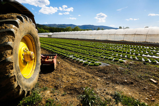 “Giovani in campo per coltivare comunità”: al via il nuovo progetto di Servizio Civile Agricolo