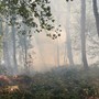 Incendi, il Piemonte regge ma l’Italia brucia: Legambiente lancia l’allarme e chiede un cambio di passo