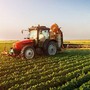 Anticipi Pac da luglio, Coldiretti: "Una boccata d'ossigeno per le imprese agricole"